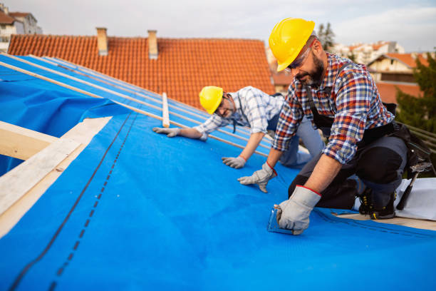 Best Roof Waterproofing Services  in Big Rock, IL
